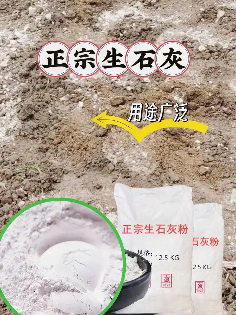 腐殖酸