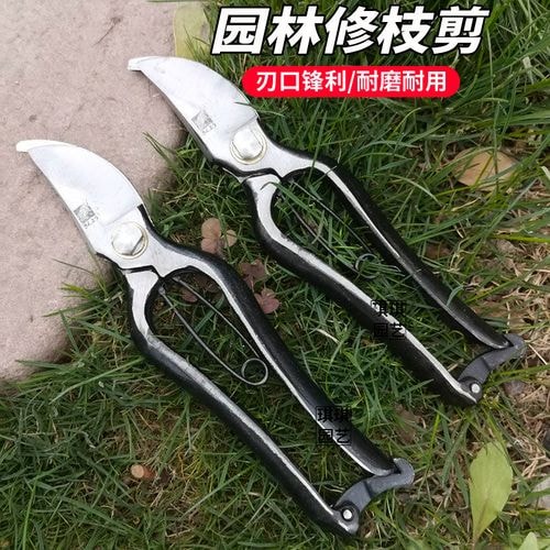锄头
