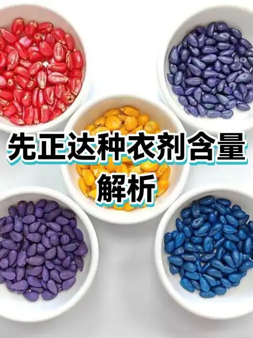 生物种衣剂