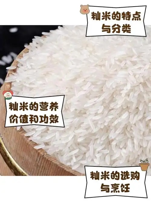 优质籼米
