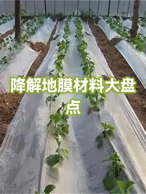 降解地膜