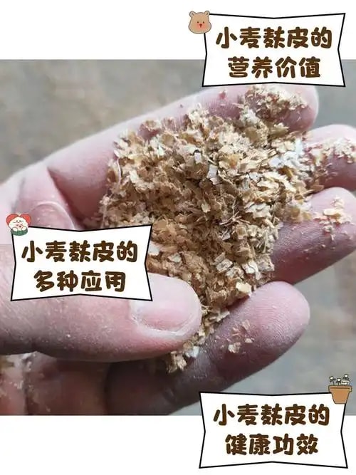 麸皮