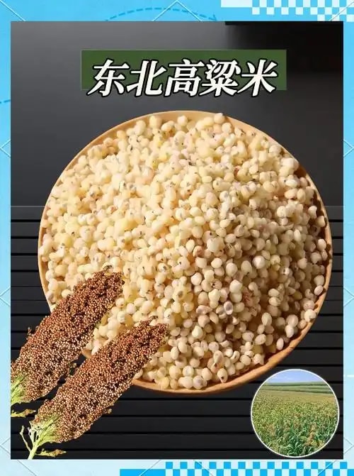 高粱米