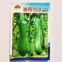 南瓜种子