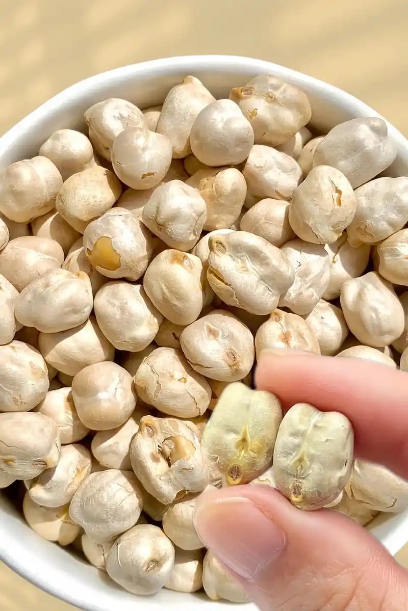 鹰嘴豆