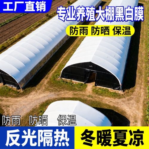 黑白膜