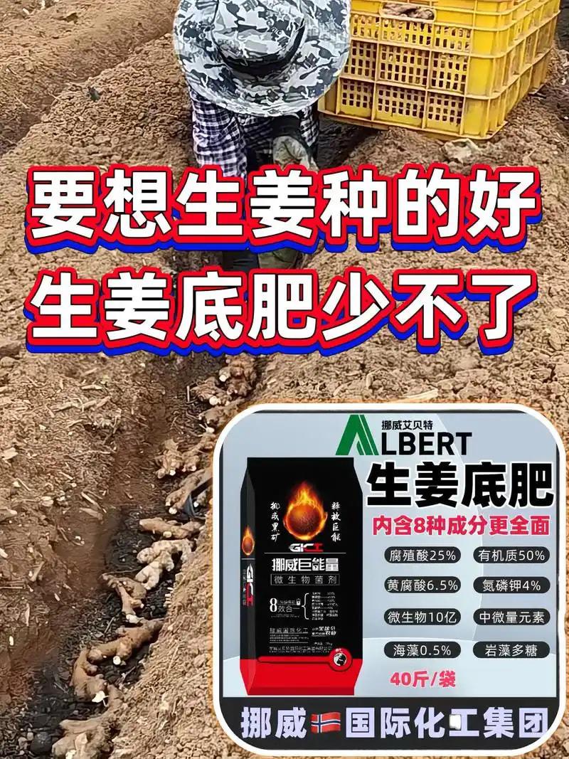 底肥配方