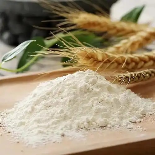 面粉专用小麦