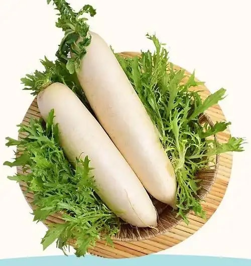 白萝卜