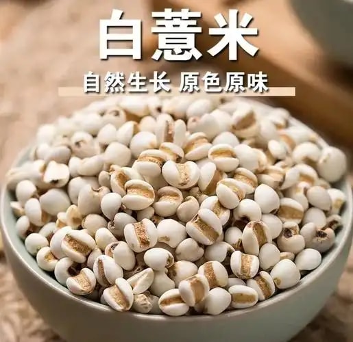 薏米