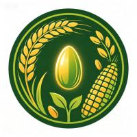 企业logo
