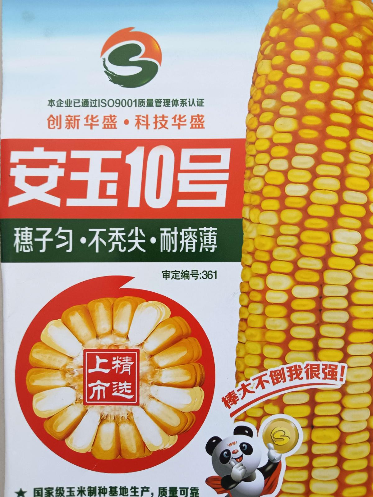 安玉10号