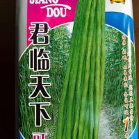君临天下