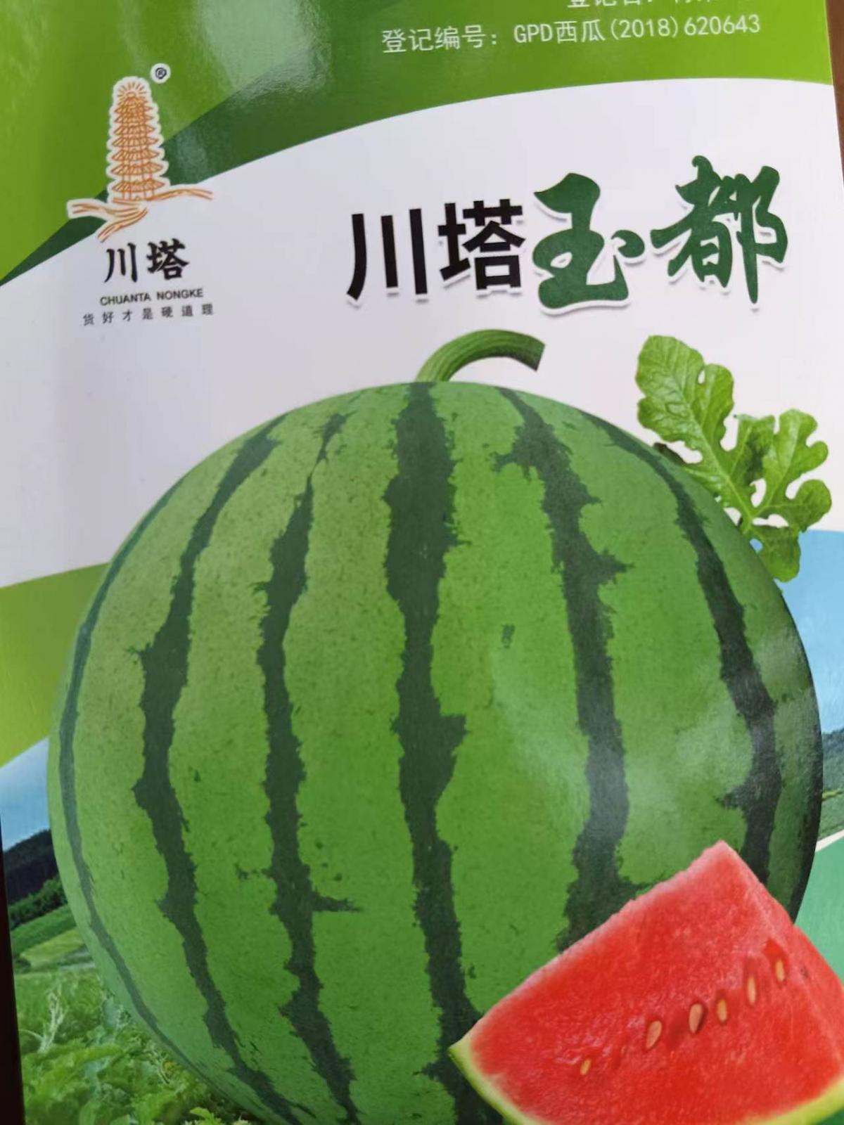 川塔玉都