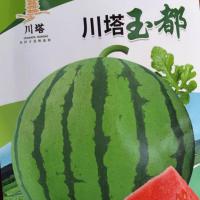 川塔玉都