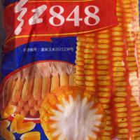 红848