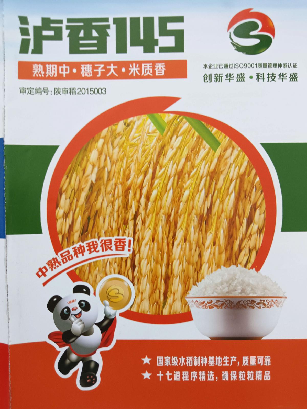 泸香145