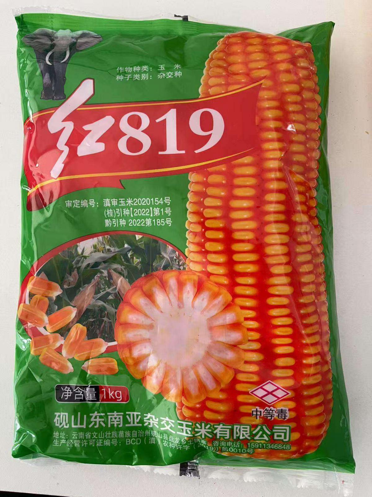 红819