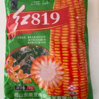 红819
