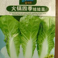火锅四季娃娃菜