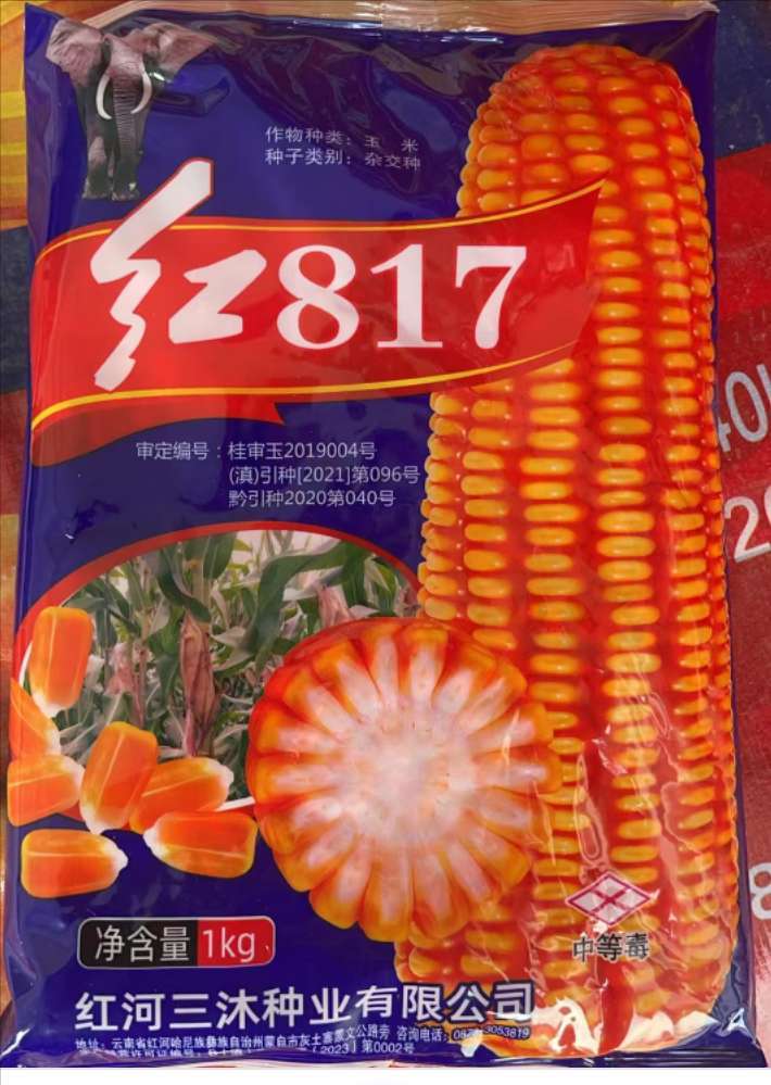 红817