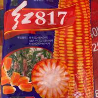 红817