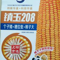 镇玉208