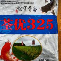 荃优325