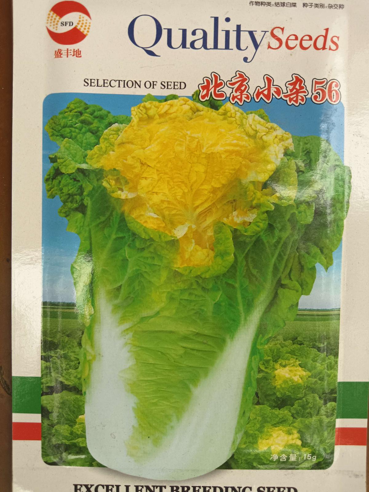 北京小杂56