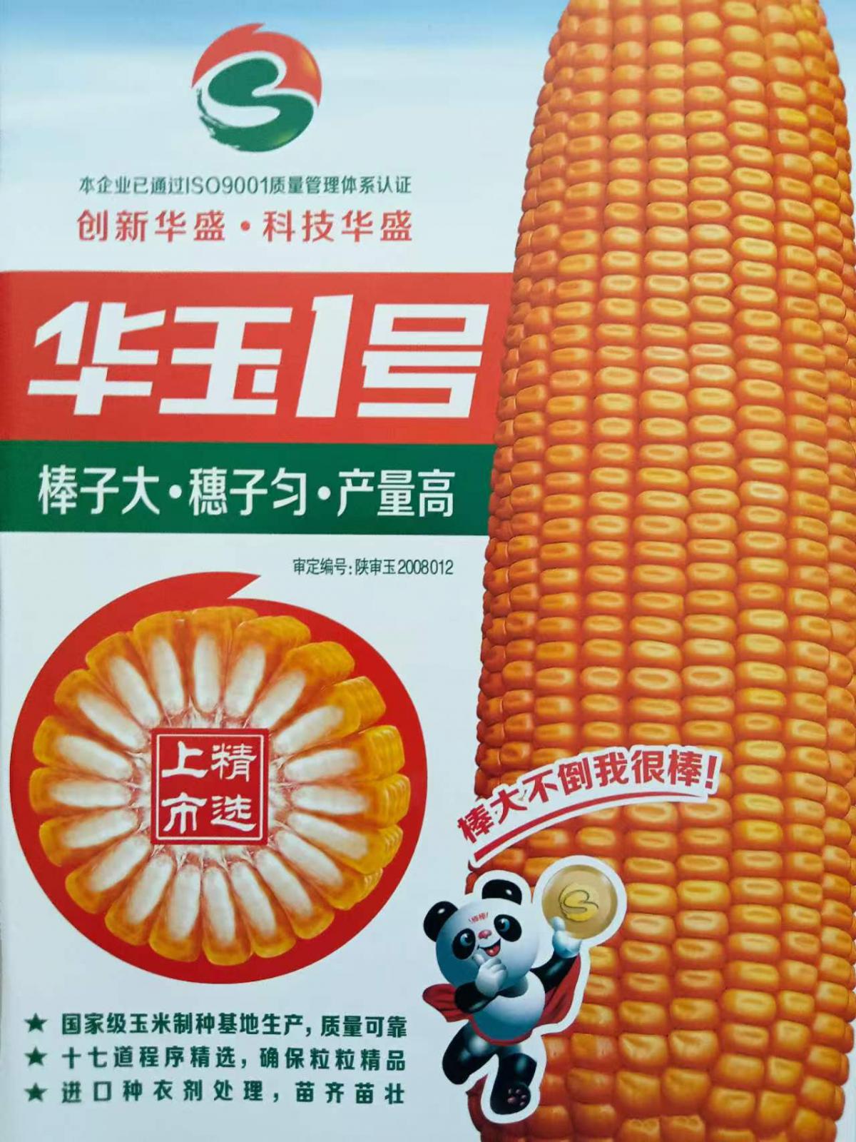 华玉1号