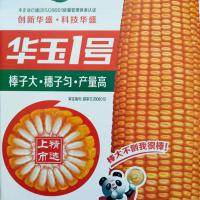 华玉1号