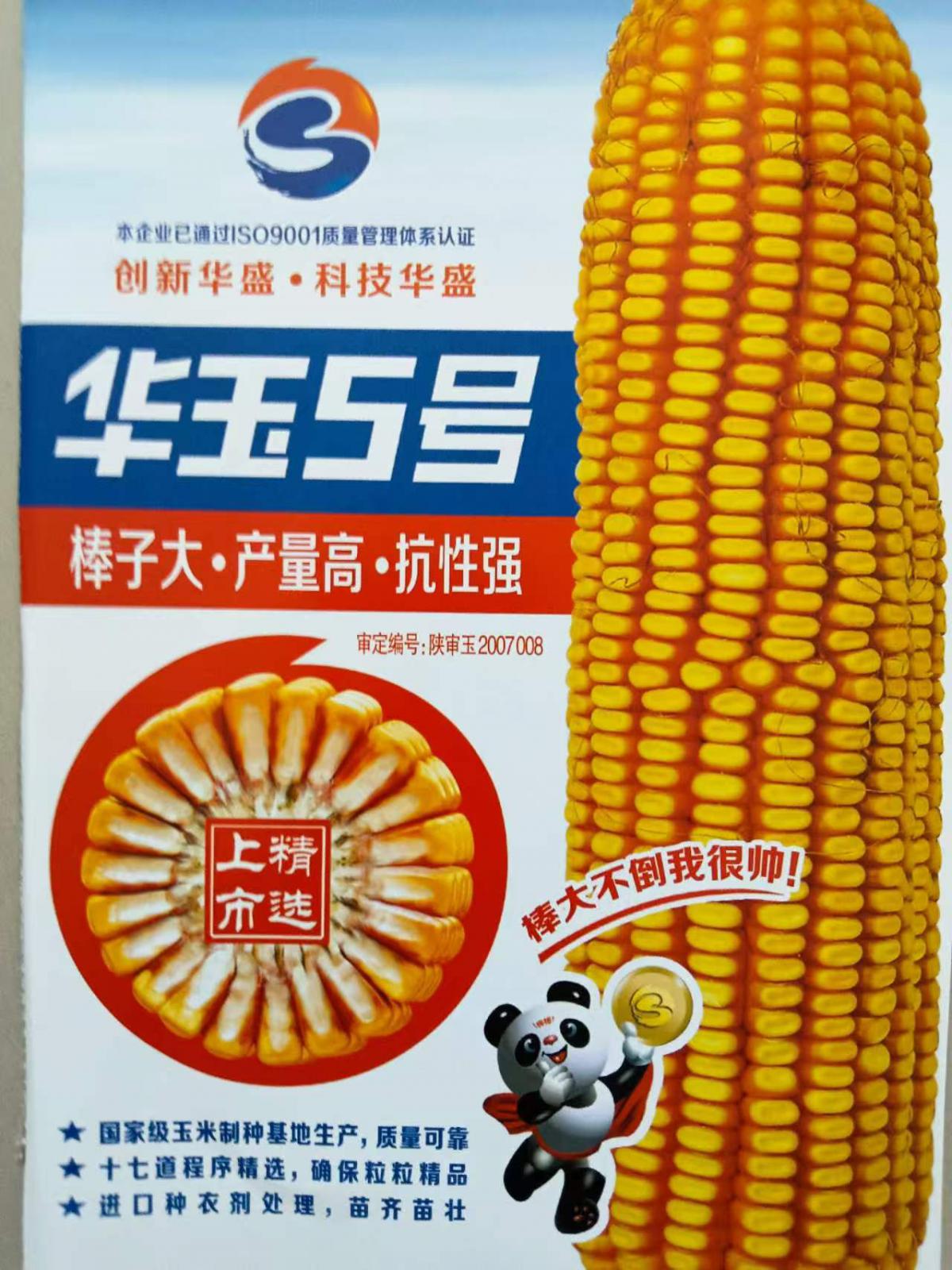 华玉5号