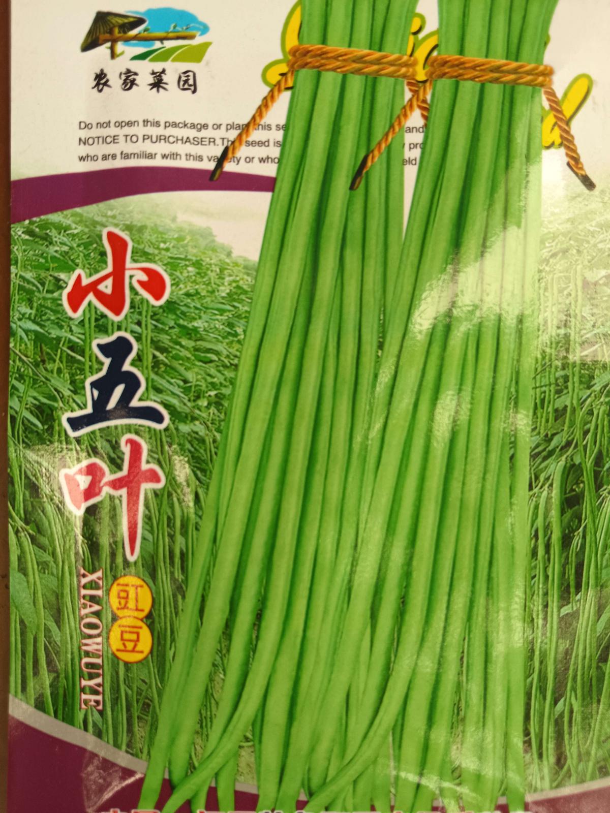 小五叶豌豆