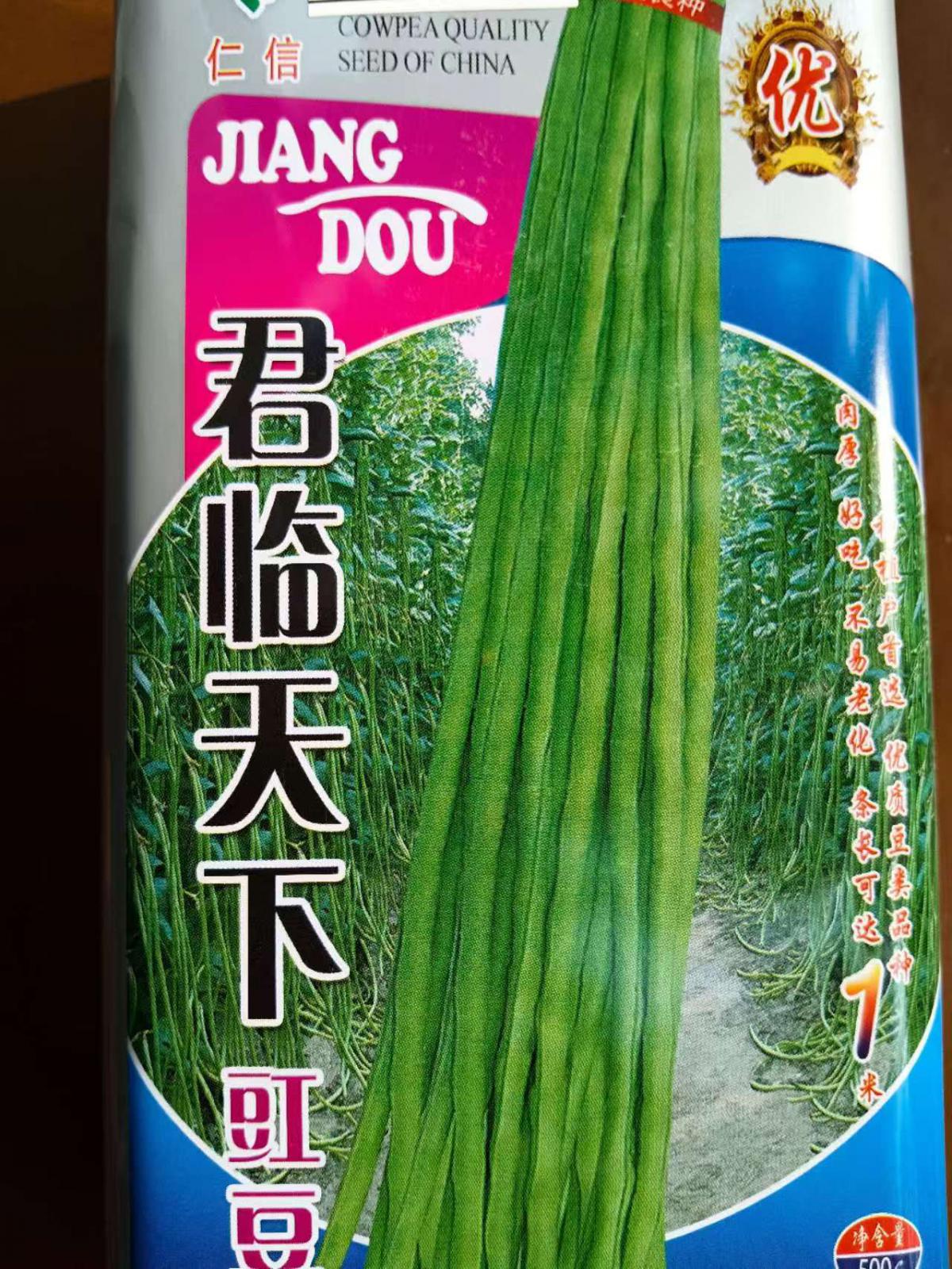 君临天下