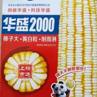 华盛2000