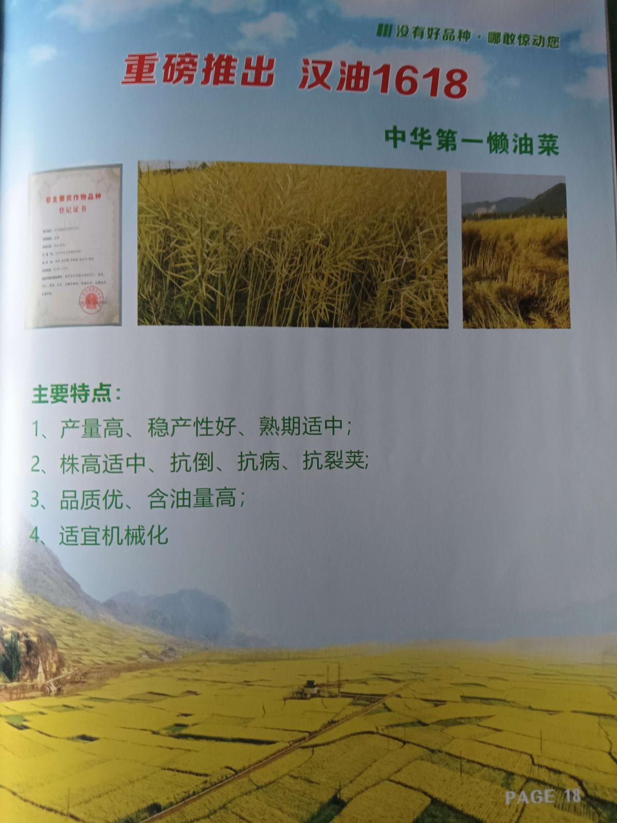 汉油1618