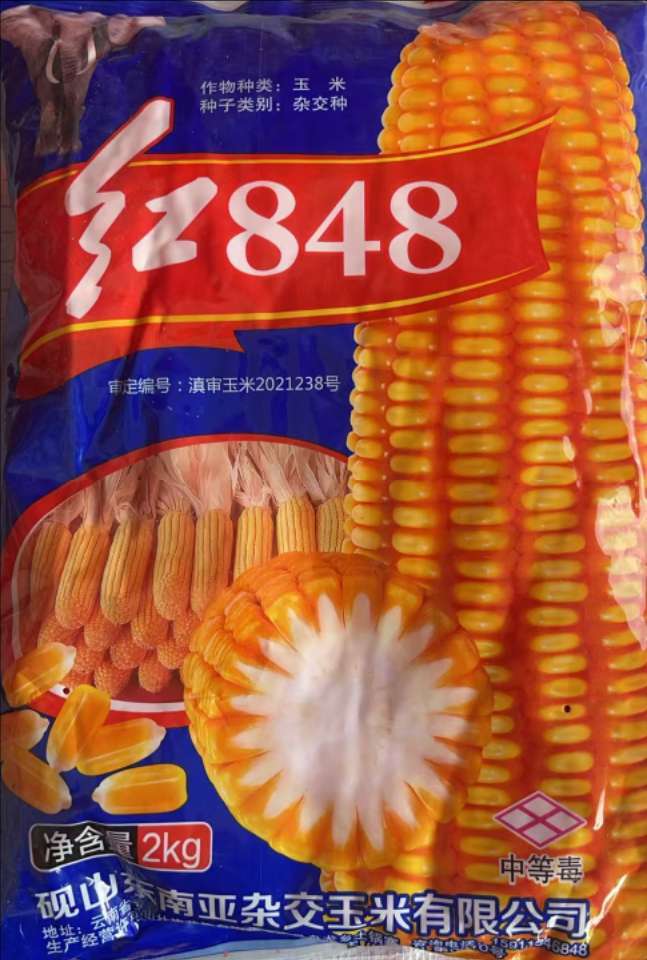 红848