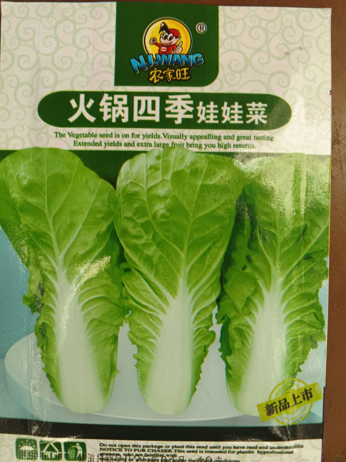 火锅四季娃娃菜