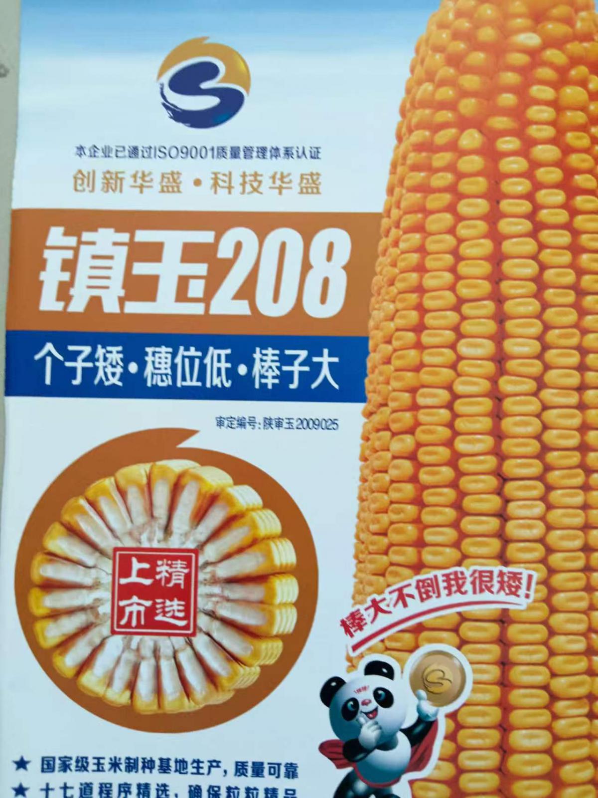 镇玉208