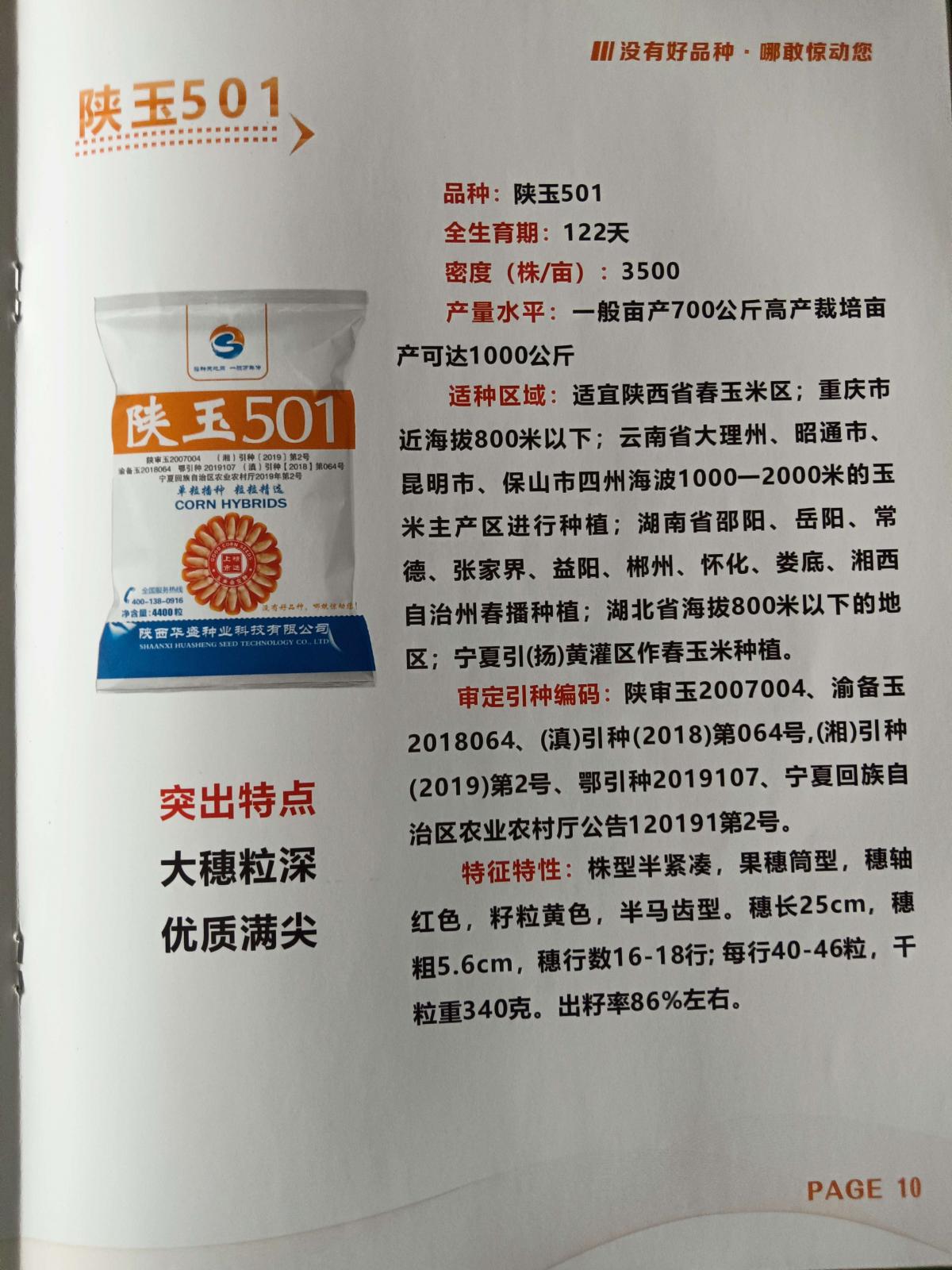 陕玉501