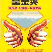黄金荚