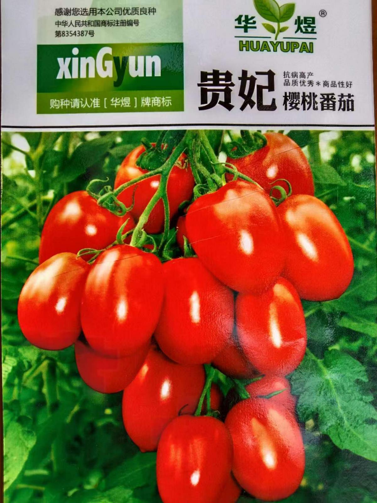 贵妃樱桃番茄