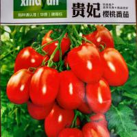 贵妃樱桃番茄