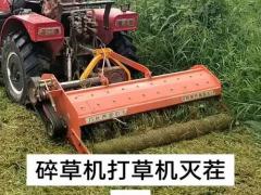 蔬菜花卉种子新品种展示会