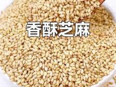 牧草种子区域代理招商