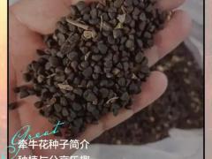 化肥肥料区域代理招商