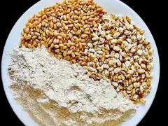 粮食种子质量监管与备案要点