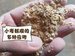 油料种子区域代理招商