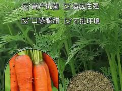 绿色种业与有机投入品展