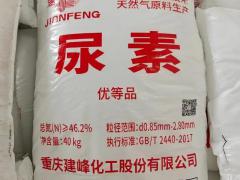 种业企业入驻与品牌建设建议